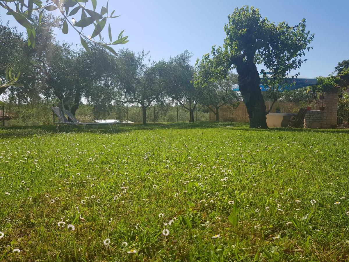 Casa Istria Villa Buje Eksteriør bilde