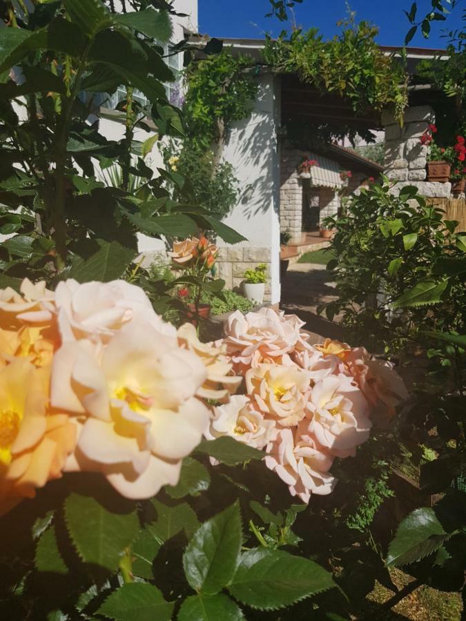 Casa Istria Villa Buje Eksteriør bilde